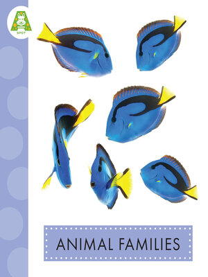 cover image of Animal Families